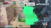 Maxi sequestro di coca al porto di Gioia Tauro