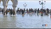 Venezia, nuova marea "Danni per 1 miliardo"