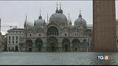 Venezia nuovo allarme "Non ne possiamo più"