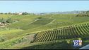 Gusto DiVino: tra le Langhe e il Monferrato
