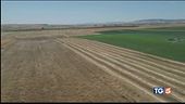 Primavera anticipata l'agricoltura in crisi