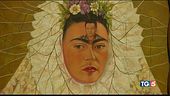 "Frida viva la vida"