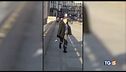 Londra, attentatore era stato scarcerato