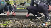 Inchiesta "buche d'oro", nove arresti in Sicilia