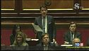 Tra i duellanti volano parole grosse al Senato