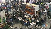 Succede solo al Romics