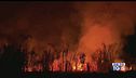 Appello del WWF per salvare l'Amazzonia