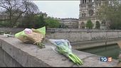 Rogo Notre-dame, già raccolto un miliardo
