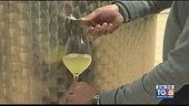 Gusto di Vino: il Nebbiolo bianco