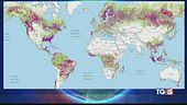 Sparite foreste estese come la Gran Bretagna