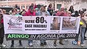"Noi vogliamo ricostruire!"