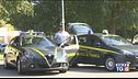 'Ndrangheta 35 arresti