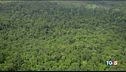 La foresta amazzonica patrimonio in pericolo
