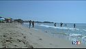 Una domenica al mare, cani in spiaggia libera