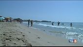 Una domenica al mare, cani in spiaggia libera