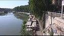 Roma, cade un ramo, colpita una famiglia