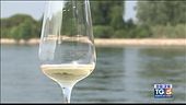 Gusto DiVino: I vini della Laguna