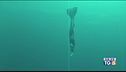 Nuovo record del mondo di apnea