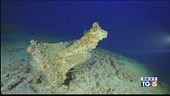 Incredibili scoperte nel mare delle Egadi