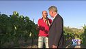 Gusto di Vino: Nero d'Avola