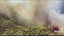 Incendio Gran Canaria "fiamme inarrestabili"