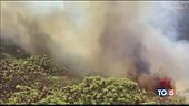 Incendio Gran Canaria "fiamme inarrestabili"