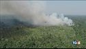 Brucia l'Amazzonia polmone della terra
