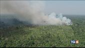 Brucia l'Amazzonia polmone della terra