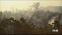 Disastro Amazzonia nell'interesse di chi?