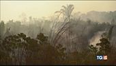 Disastro Amazzonia nell'interesse di chi?