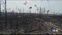 L'Amazzonia è una questione mondiale