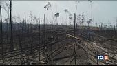 L'Amazzonia è una questione mondiale