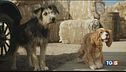 Stavolta sì che gli attori sono cani!
