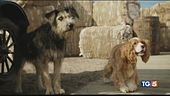 Stavolta sì che gli attori sono cani!