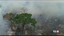 Brasile: no agli aiuti ma l'Amazzonia brucia