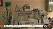 Bimbo muore in ospedale Terzo caso in 7 giorni