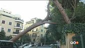 La strage del vento: vittime, feriti e danni