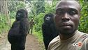 In posa con i gorilla