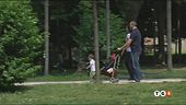 Un pacchetto sulla famiglia