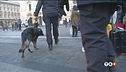 Allarme terrorismo Un Natale blindato