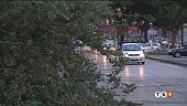 L'allerta maltempo Acqua alta a Venezia