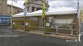 Gli animali in piazza San Pietro