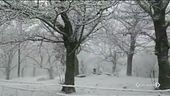 Due giorni di neve anche in pianura