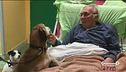 "Prima di morire vorrei rivedere i mie cani"