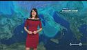 E per la merla torna la neve
