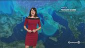 E per la merla torna la neve