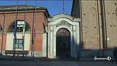 Ora lo vogliono adottare tutti