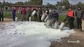 La guerra del latte