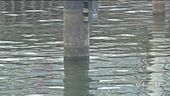 Oggi giornata mondiale dell'acqua