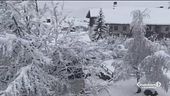 Pioggia e neve in quota, torna il freddo